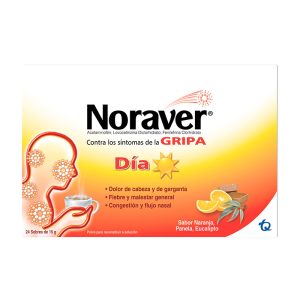 Noraver Gripa Bebida Dia 15 Gr 24 Sbs